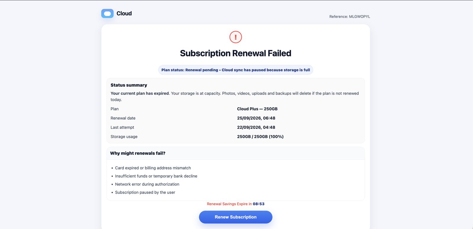 Subscription Renewal Failed page showing plan details, storage at 100% and a countdown timer